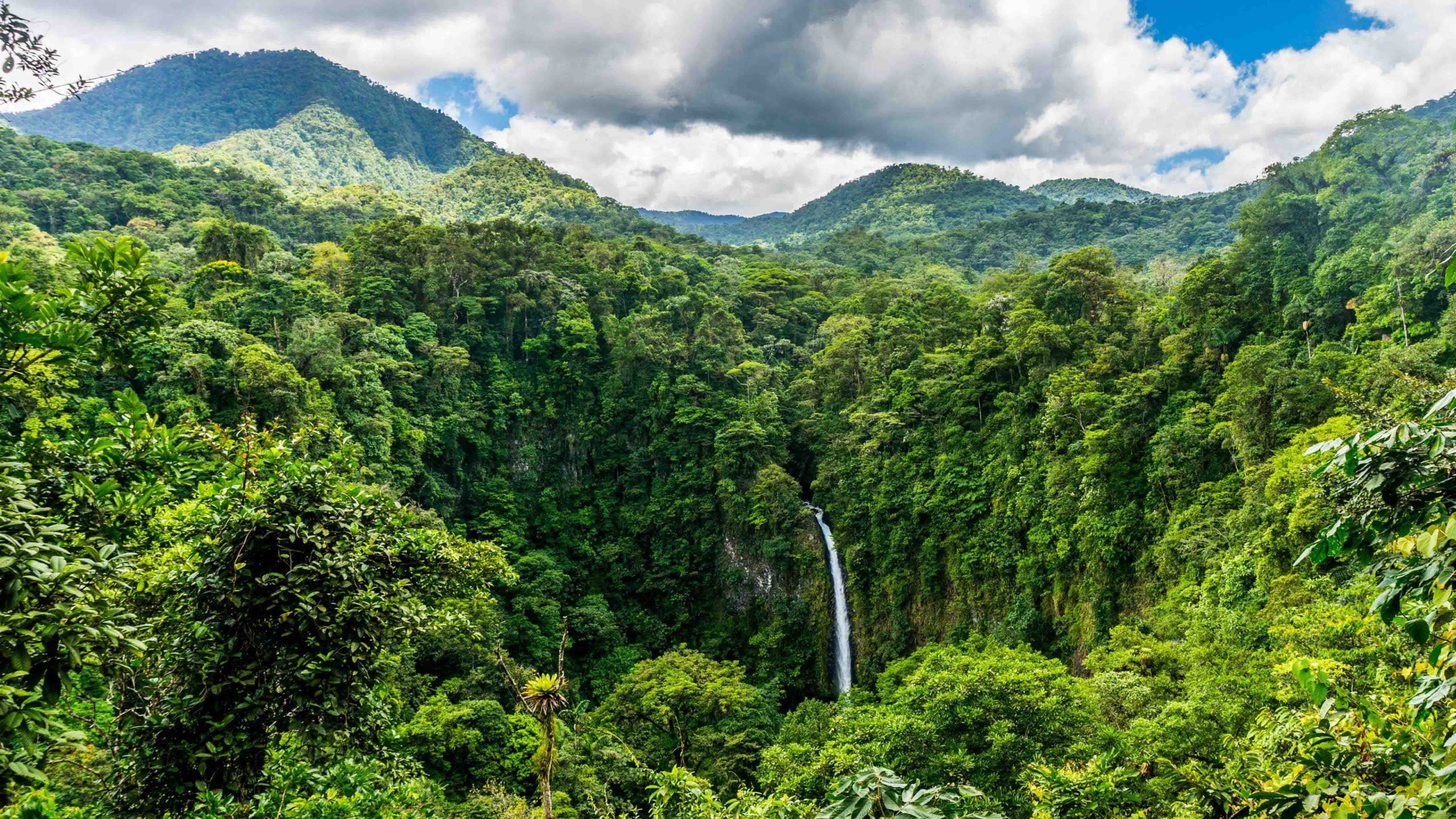 Slider Image: 